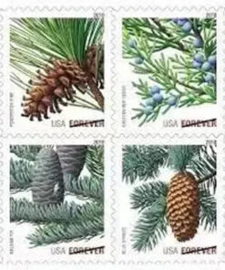 2010 Holiday Evergreens