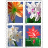 2014 Imperforate Winter Flowers