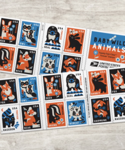 2025 Baby Wild Animals