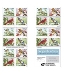 2016 Songbirds in Snow